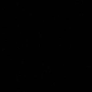 Meet your Posher, Carolina